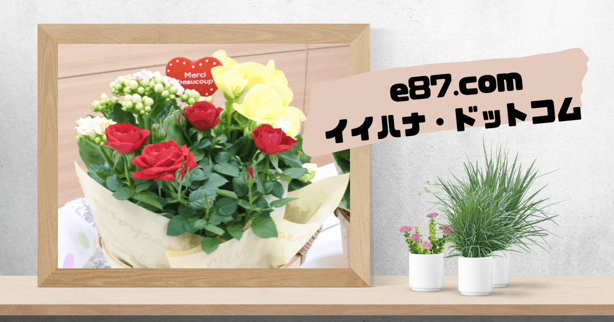 2024年母の日【イイハナドットコム】イイハナ専用の花で他店では売っ ...