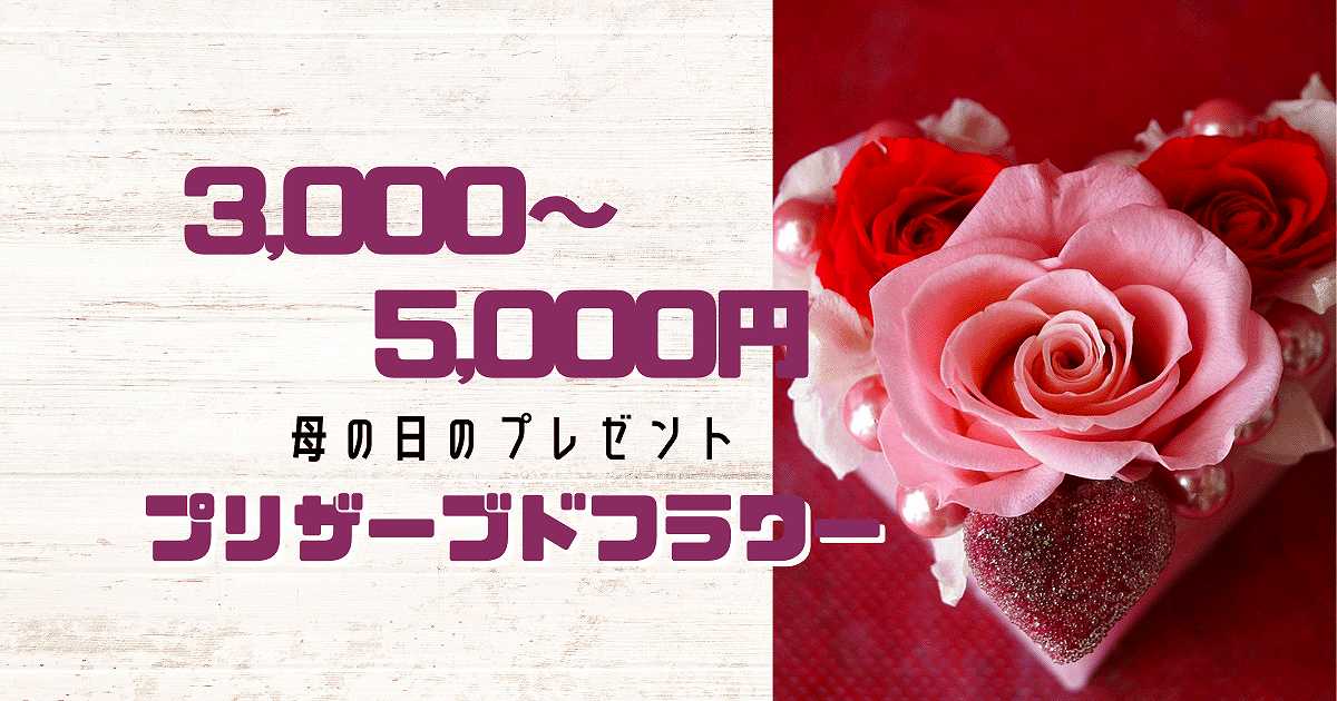 3000～5000円プリザーブドフラワー