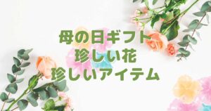 母の日ギフト 珍しい花・アイテム