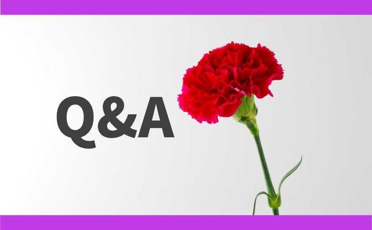 母の日のメッセージQ&A