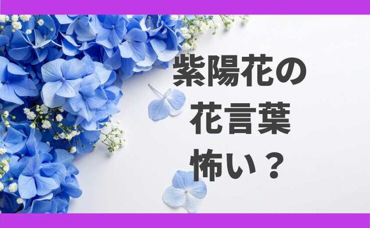 母の日　紫陽花