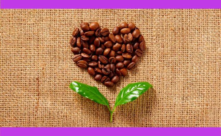 自分では買わないけどもらって嬉しいもの 母の日